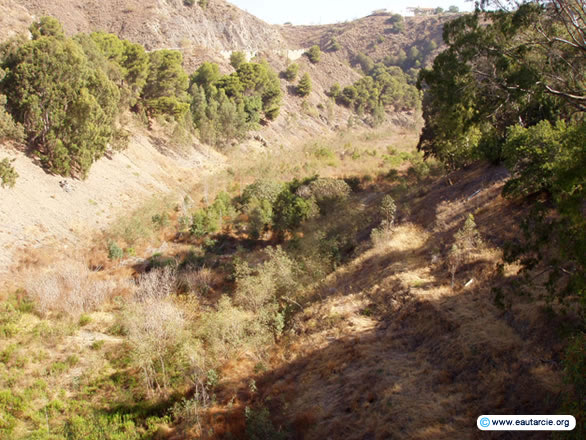 Pantano del Agujero – ausgetrocknet.