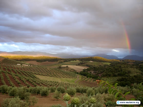 Typische Landschaft Andalusiens.